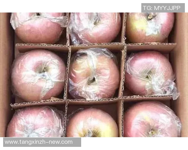 糖心app官网ios-探索糖心app官网ios版本的新体验-