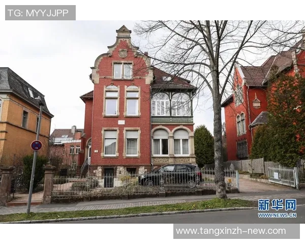 糖心vlog酥酥-糖心vlog酥酥,探寻美食与生活的甜蜜交融-